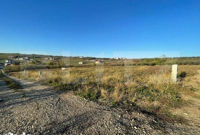Teren de 630 mp, în Paleu - 4