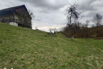 Teren de 9370 mp, în Baia de Criș - 2