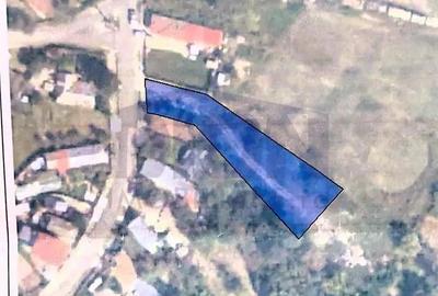 Domnesti Teghes ideal investitie,toate utilitatile - 2