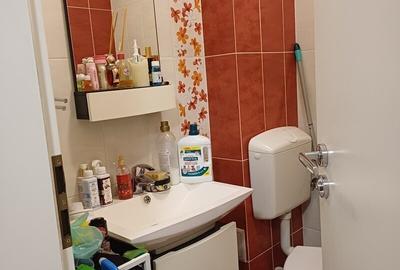 Apartament cu 3 camere decomandat în Drumul Taberei - 8
