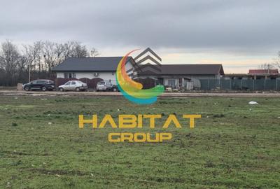 Teren intravilat 500 mp Afumati Sindrilita - 7