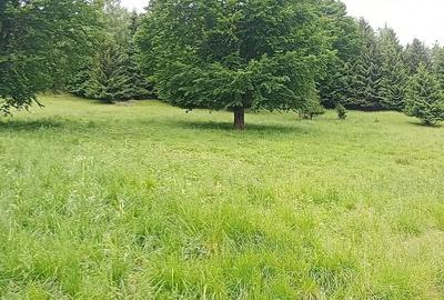 Teren de 500 mp, în Brădățel - 4
