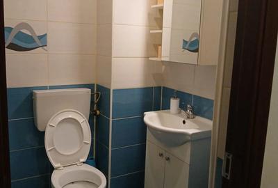 Inchiriez Garsoniera dubla TOP HOUSE Berceni - 4