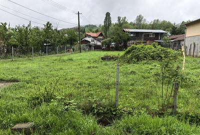 Spațiu comercial, în Lac de Verde - 6