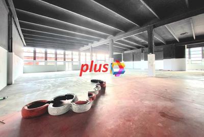 Show room - 600 mp #Plus-imo.ro - 3