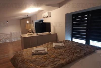 Panorama si Stil  Duplex cu 2 Camere si Terasa Spectaculoasa , Complex  modern, - 11