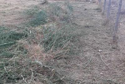 Teren de 500 mp, în Nord - 7