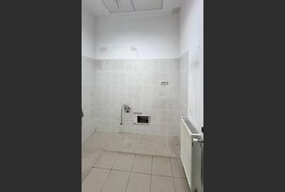 Inchiriere spatiu,magazin stradal - 9