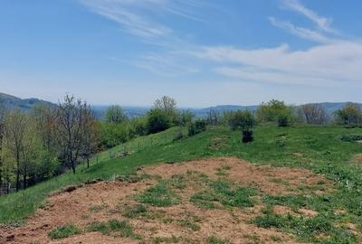 Teren Campina varful Muscel - 10