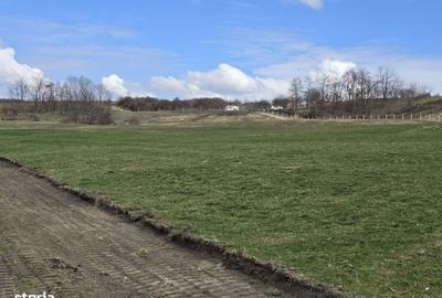 Spațiu comercial, în Central