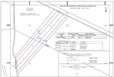 Teren 7400 mp Corbii Mari, La 5 minute de A1, Intra + Extra Proprietar - 5