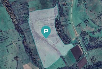Teren de 87 Hectare de Arendat in Bara, Timi? - 15
