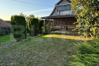 Casa in Alunis, 10.000 mp de teren, cu vie si livada, vedere panoramica - 2