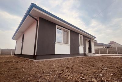 Casă cu 4 camere în Peciu Nou - 8