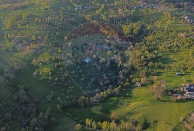 Teren de 15459 mp, în Bughea de Sus - 10