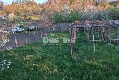 Casă individuală cu 2 camere cu Teren 1150 Mp în Păușești - 6