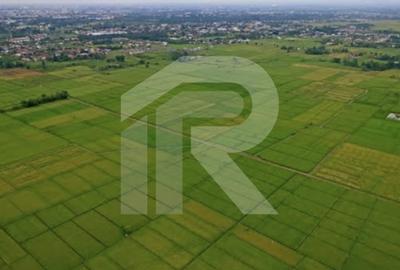 SNAGOV 20150mp TEREN INTRAVILAN AGRICOL