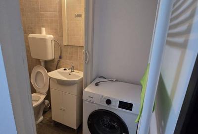 Casă cu 1 camere cu Canalizare în Timocului-Șaguna - 3