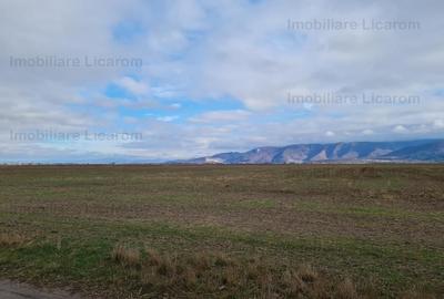 Teren în Central - 1