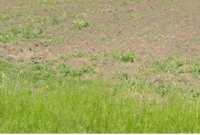 Teren extravilan Cocorastii Colt ; ID: R2710069 - 5