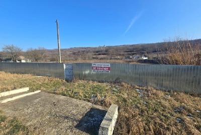 Teren Construcții intravilan de 5069 mp, în Prădaiș - 3