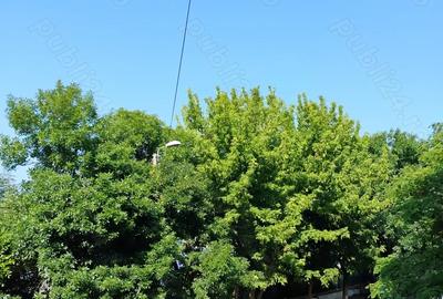 Inchiriez apartament cu 2 camere decomandat etaj 1 - 6