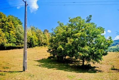CASA TRADITIONALA, ANEXE si 46.980 mp teren partial INTRAVILAN BULZ - BIHOR - 16