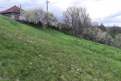 Teren de 1017 mp, în Arpașu de Sus - 3
