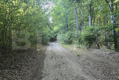 Teren de 782 mp, în Central - 5