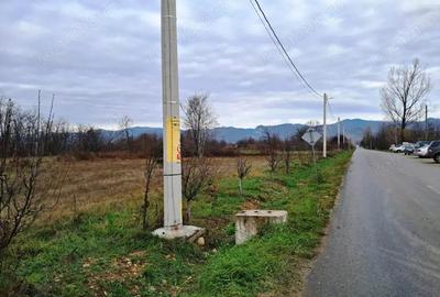 TEREN INTRAVILAN POLOVRAGI - 5