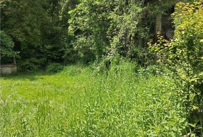 Casă cu 2 camere cu Teren 5090 Mp în Vâlcele - 7