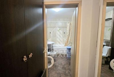 Apartament cu o camera si terasa 14 mp, zona Aradului - 6
