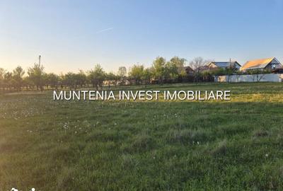 Teren de 3533 mp, în Poiana Lacului - 3
