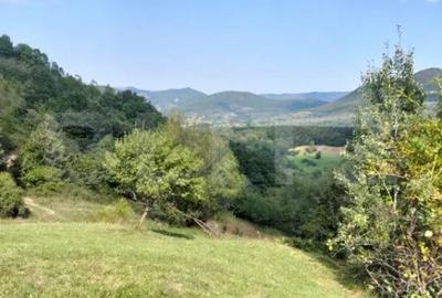 Teren de 70290 mp, în Poiana Ampoiului - 1