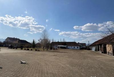 Teren în Ocna Șugatag - 6