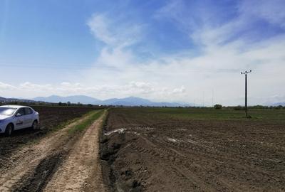 Teren agricol extravilan de 45000 mp, în Bod
