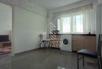 Apartament cu 2 camere decomandat, mobilat în Micălaca - 9