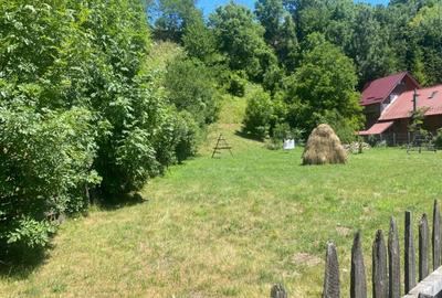 Teren de 2361 mp, în Valea Doftanei