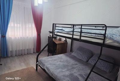 Apartament cu 3 camere decomandat în Valea Lupului - 13