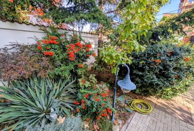 Izbiceni-Coralilor-Damaroaia,eleganta si robusta,cu garaj,curte intima,vegetatie - 2