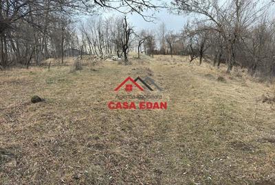 Casă cu Teren 3074 Mp în Cornu - 2