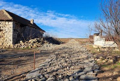 Teren de 1500 mp, în Hagieni - 5