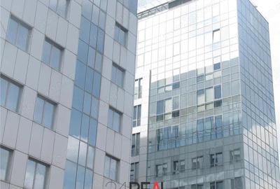 Spațiu comercial, în Timpuri Noi - 4