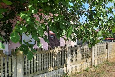 Colaborare in diverse afaceri - 2