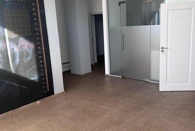 Spațiu comercial, de 325 mp, în Delfinariu - 9