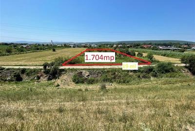 Hemeiusi - zona Parcului Dendrologic - 1.704mp - 1