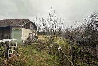 Casă cu 4 camere cu Teren 3000 Mp în Cășeiu - 10
