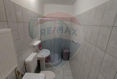 Apartament de inchiriat Str. Milcovului, Rogerius, Oradea... - 6
