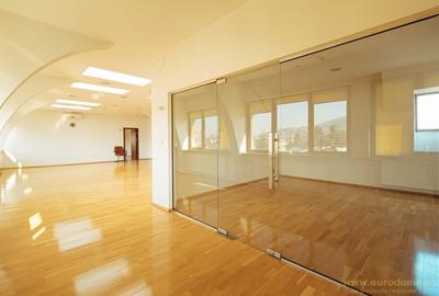 Inchiriere Spatiu exclusivist, vedere panoramică, luminos - 8