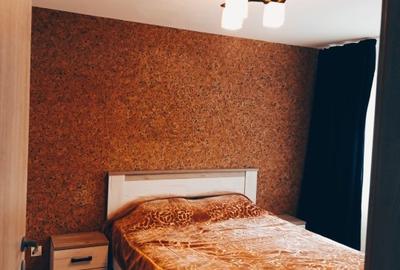 Apartament cu 2 camere decomandat, mobilat în Banat - 10